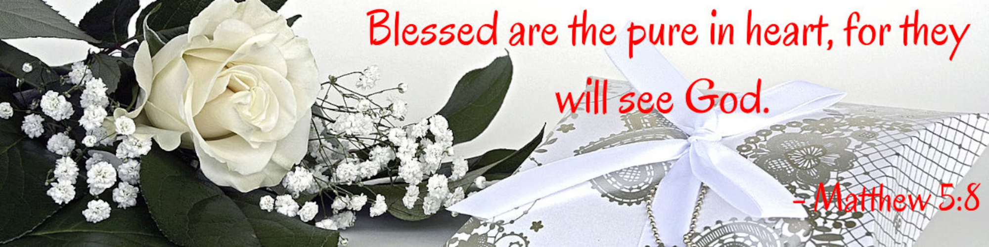Purity Rings & Christian Jewelry for Girls, Guys, Teens and Singles ...